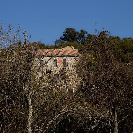 Casa Giacometti Grosseto-Prugna Buitenkant foto