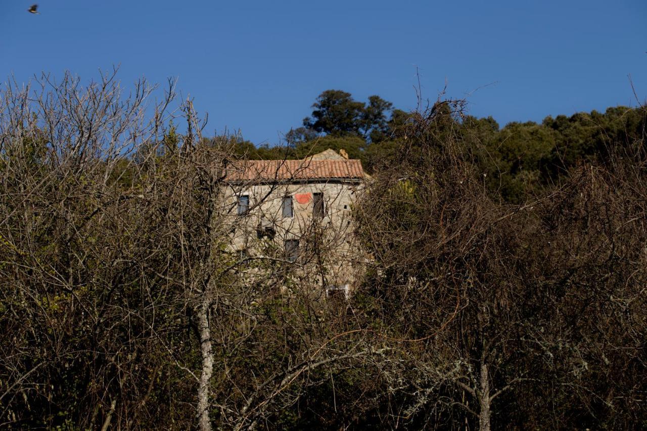 Casa Giacometti Grosseto-Prugna Buitenkant foto