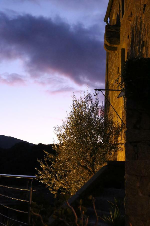 Casa Giacometti Grosseto-Prugna Buitenkant foto